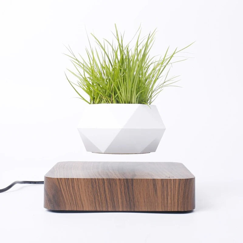 Floating Plant Pot